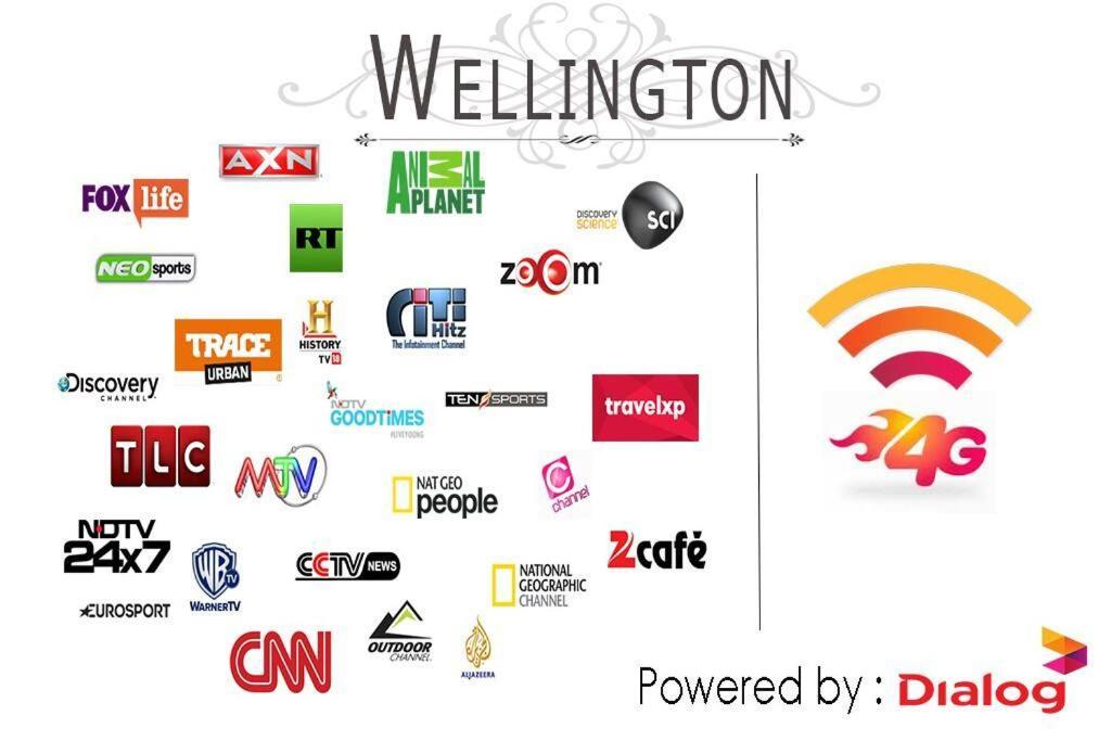 Wellington Βίλα Hikkaduwa Εξωτερικό φωτογραφία